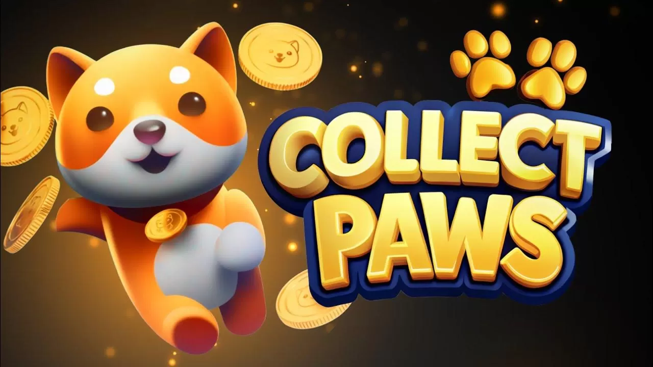 آیا ایردراپ بیبی دوج (Bayby Doge PAWS) معتبر است؟