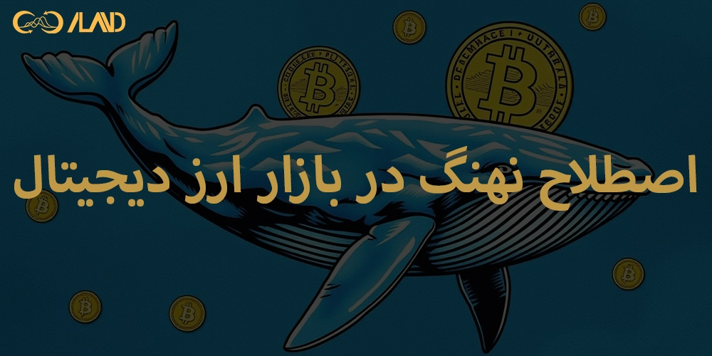 اصطلاح-نهنگ-در-بازار-ارز-دیجیتال