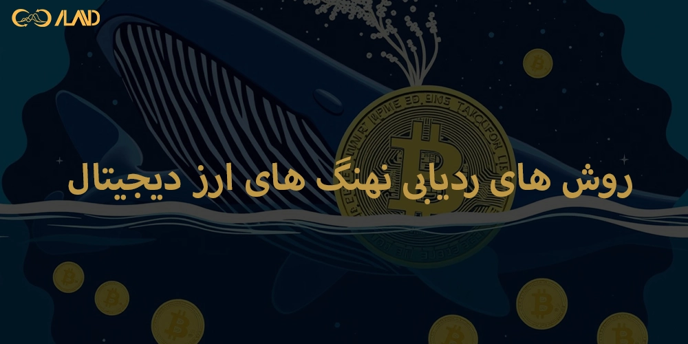 روش-های-ردیابی-نهنگ-های-ارز-دیجیتال