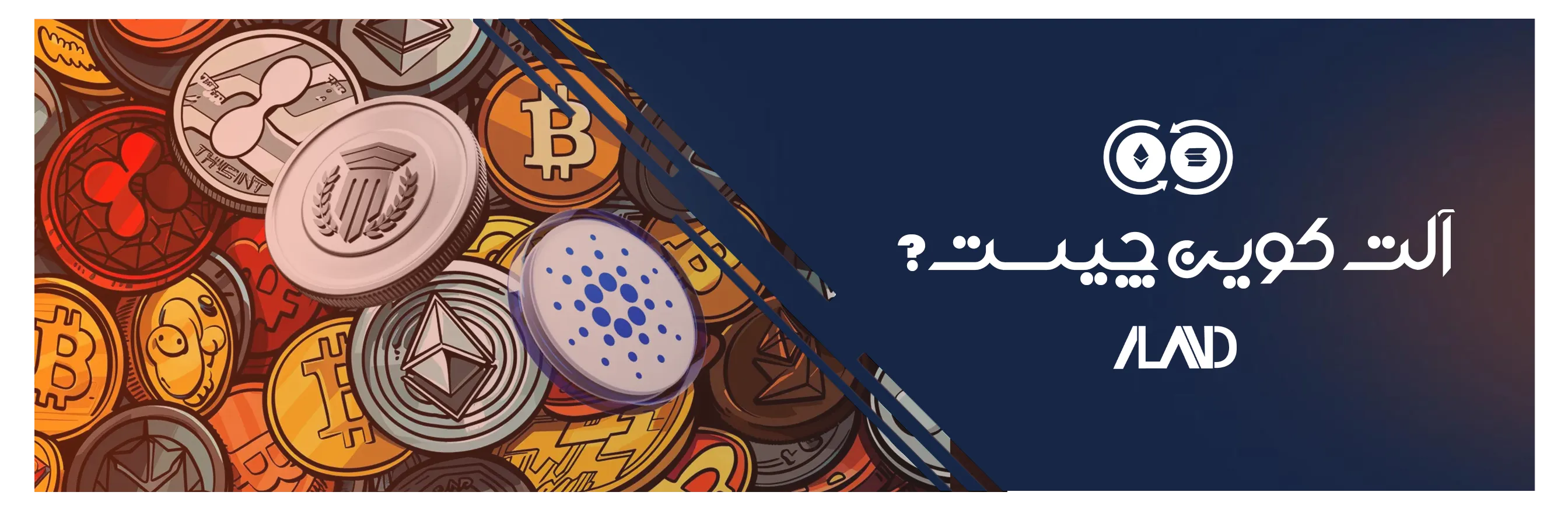 الت کیون ها و شت کوین ها