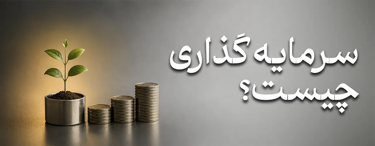 سرمایه گذاری