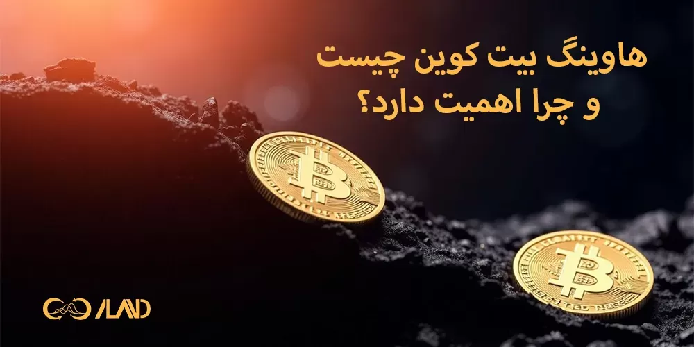 هاوینگ بیت کوین [Bitcoin halving]